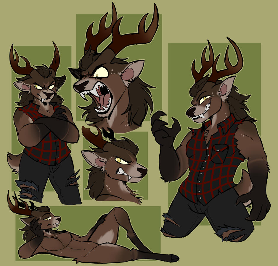 sketch sheet